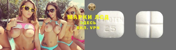 хмурый Абаза