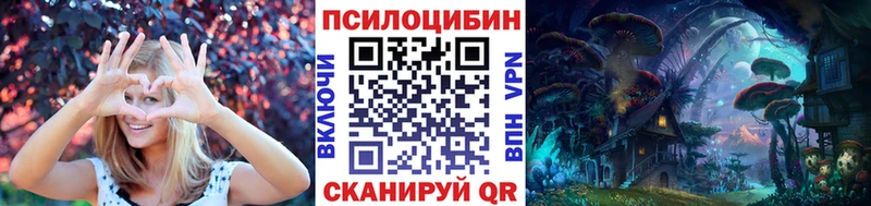где продают наркотики  Симферополь  гидра как войти  Псилоцибиновые грибы Psilocybe 