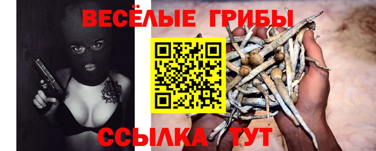 Симферополь  Псилоцибиновые грибы GOLDEN TEACHER  Вход с VPN 